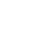 AltruvelonixPro - Establish Your Financial Base